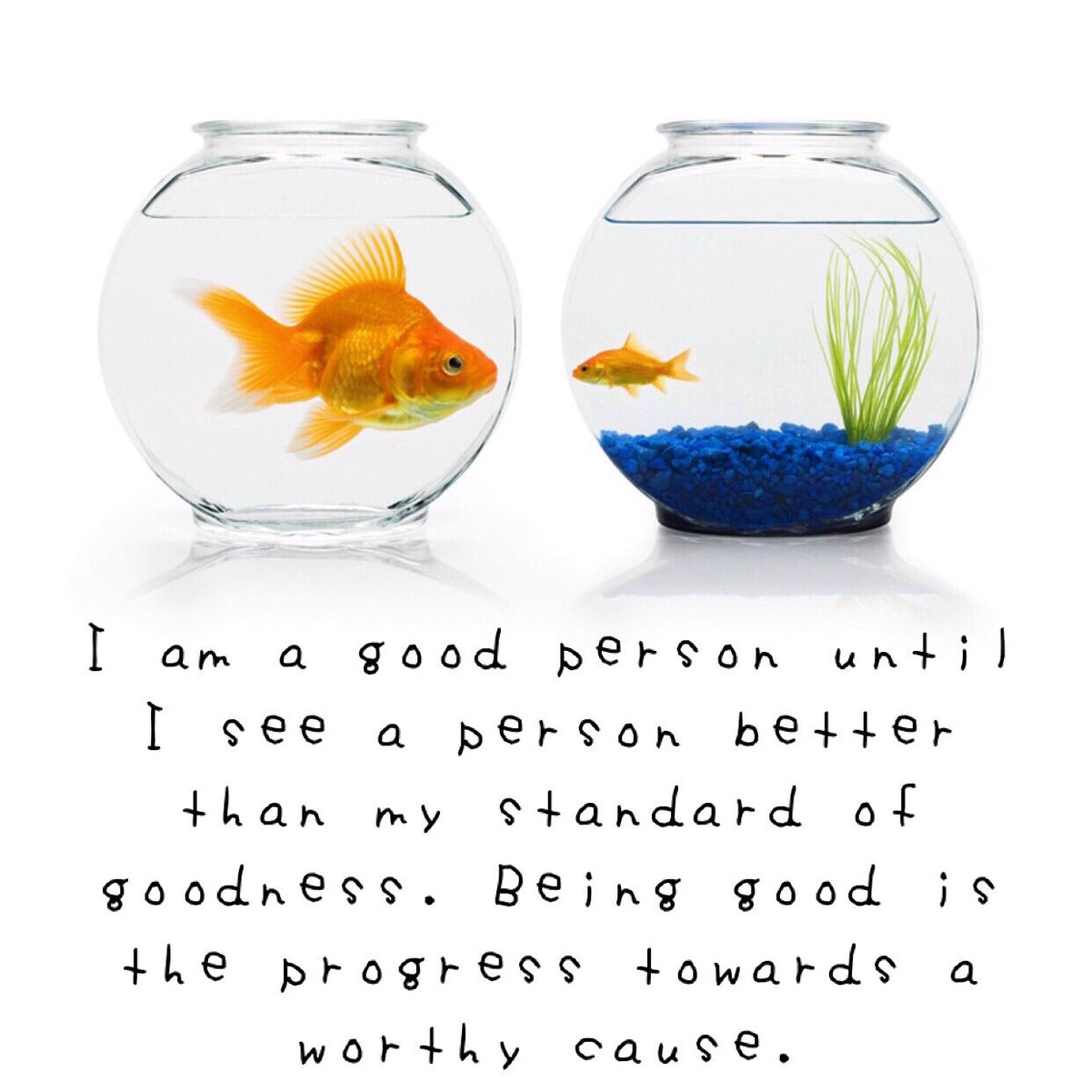 LDStuth's tweet photo. #Worthycause #worthiness  #trustworthiness #expectations #goodness #goodstandard  #beinggood #balathayaparanquote https://t.co/CpfHZ0aJi2