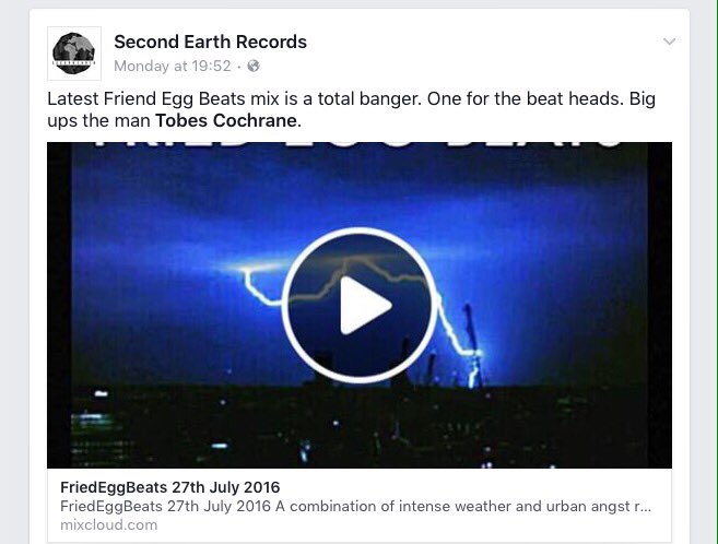 FriedEggBeats tweet media