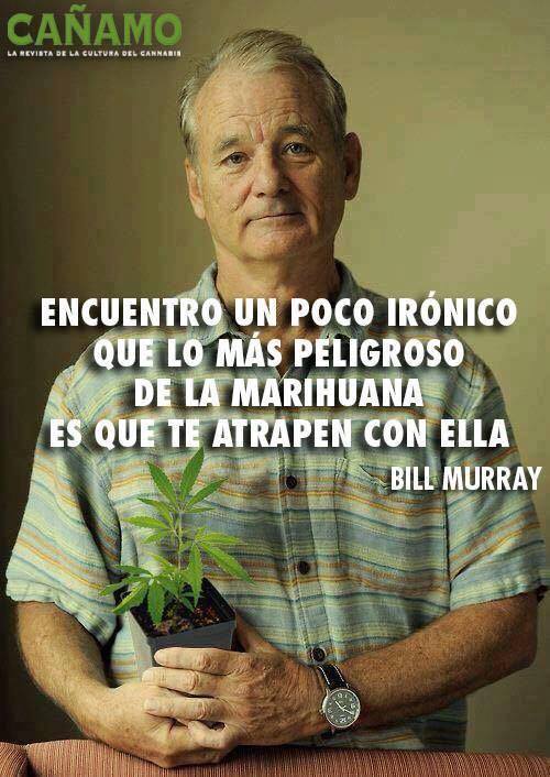 PamOrellana's tweet photo. @revistacanamo https://t.co/drwa3GQ9G5