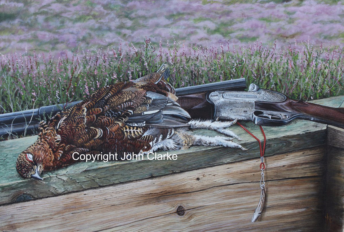 Not long now until the 12th.... but reports are not good her in Lancashire. how about where you are. #glorious12th