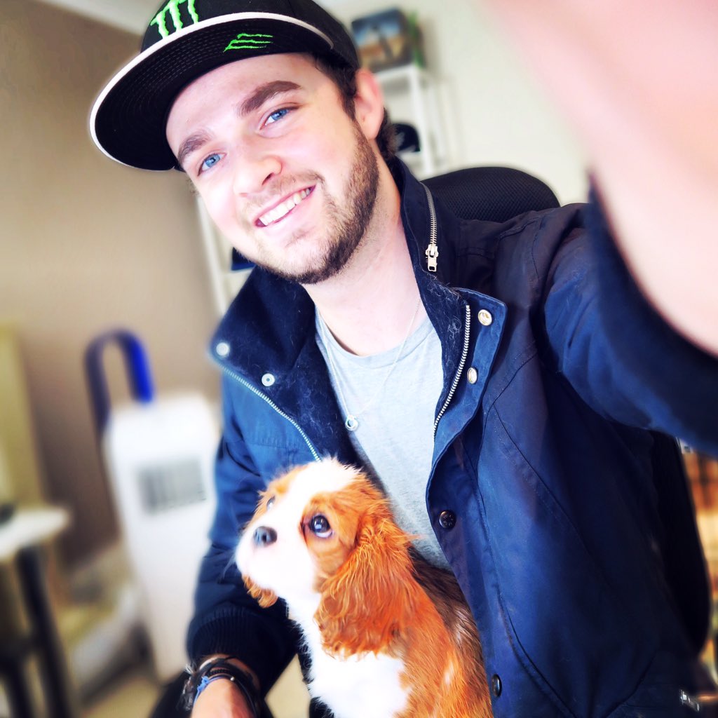 Ali-A on Twitter: "Eevee wondering when we're gonna stop 