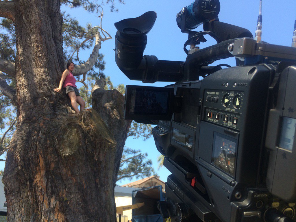 MLNBCSD7's tweet photo. OB tree sit-in https://t.co/F0I27dqco6