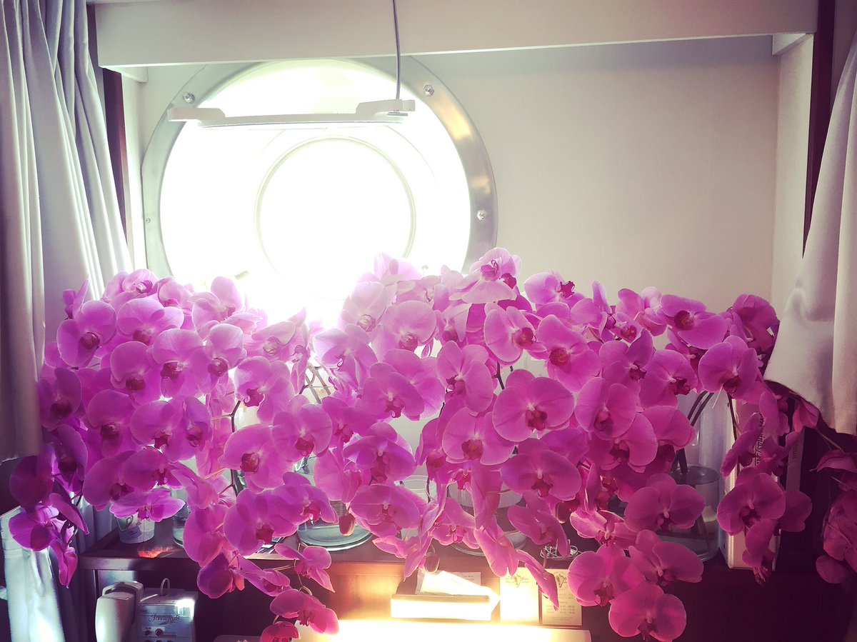 PatFreyDesigns's tweet photo. When you're on design location on a cruise ship in the Caribbean and run out of room in the cooler. #cabinoforchids https://t.co/8l5UzbRoDs