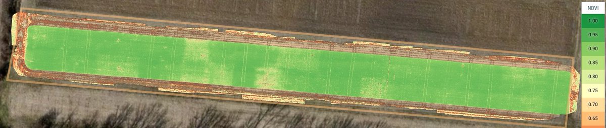 OSU_IPM's tweet photo. Agronomic Tetris or Potato leaf hopper damaged alfalfa, w/ treatments and checks. #osuextension #glveg https://t.co/o98vikqpTV