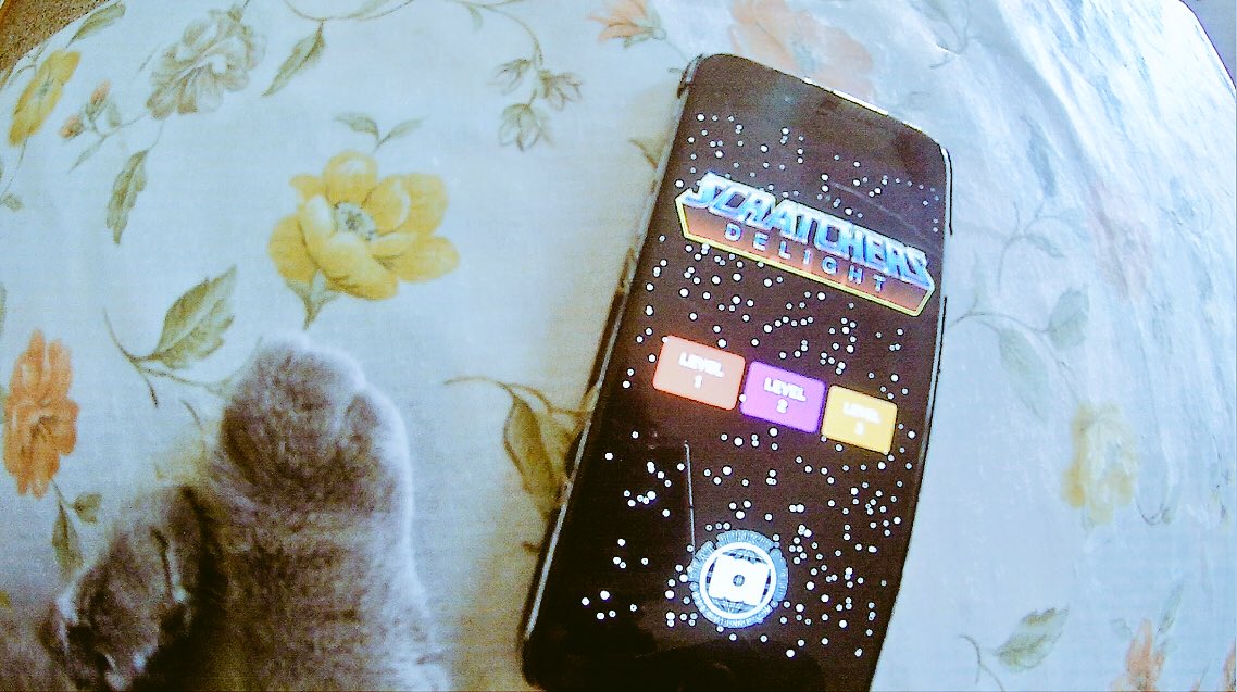 mykemon's tweet image. New #scratchvideo is coming. Thanks @Herrmutt #Appmasters and @BEATJUNKIES #Turntablismlegend ✨🔥 #scratchersdelight