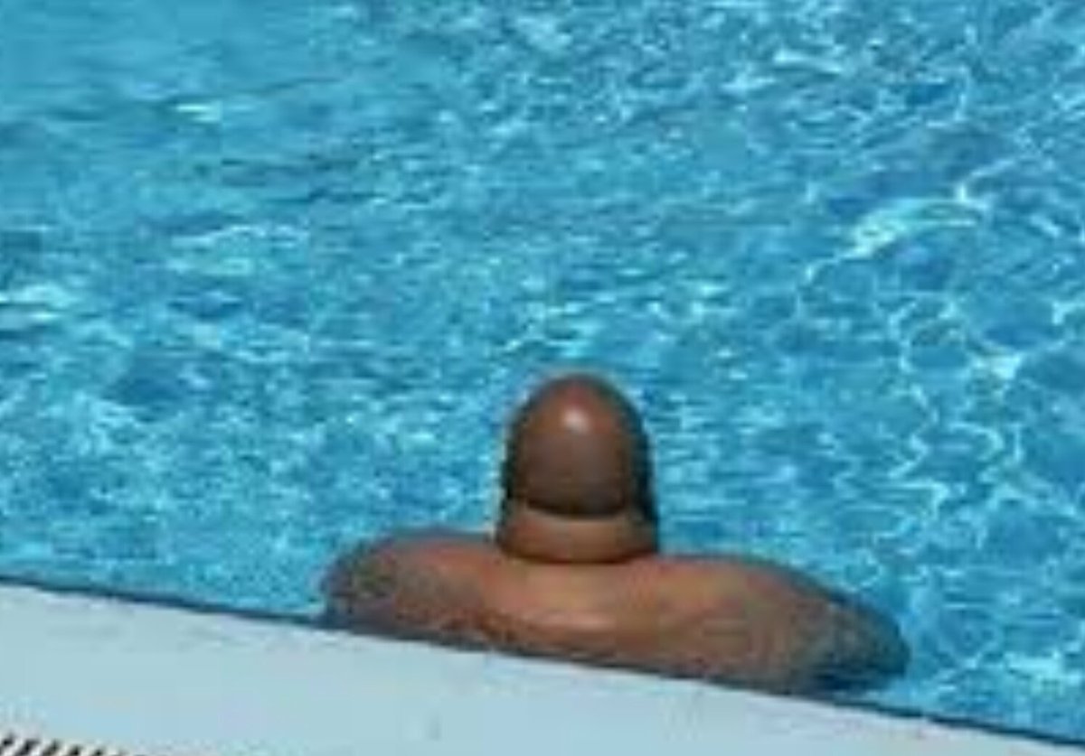 Dougbaws's tweet image. Was gonna go for a dip in the pool, nope! #chode #throwitaring