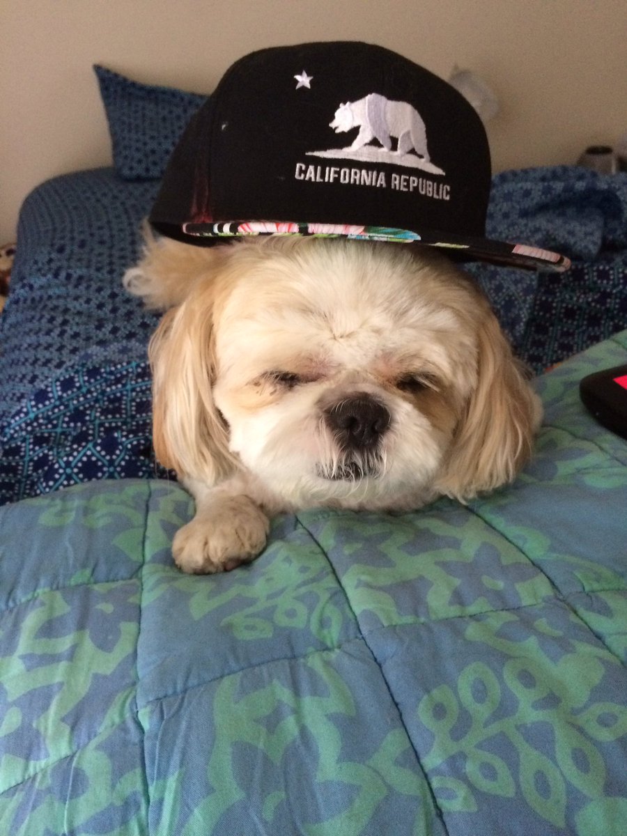 Francesca tweet media