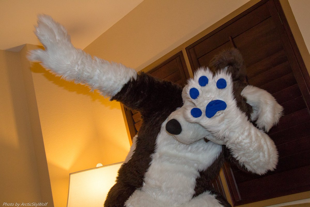 ArcticSkyWolf's tweet photo. DAB @MiloPuppyDog #MEGAPLEX2016 https://t.co/lNMyxAJUWS