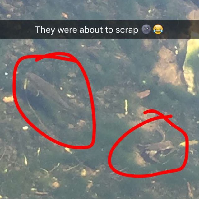 . (@irlmcmi) on Twitter photo 