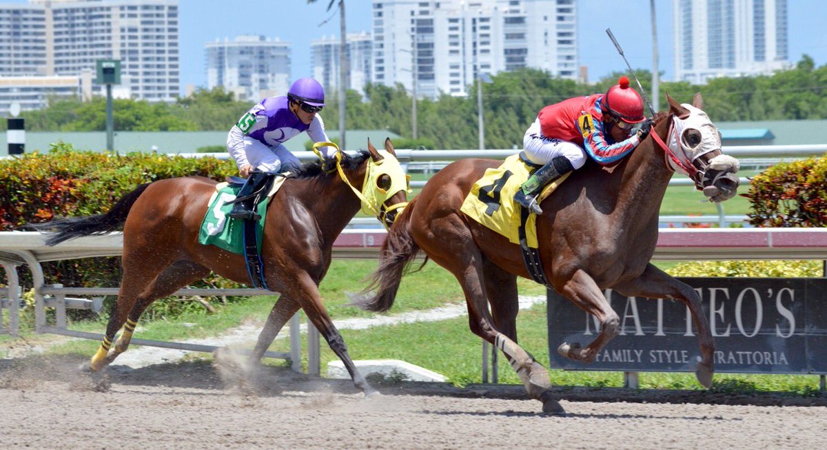 Ocala Spirit (Notional-Fairy Heights) finished 2nd in the 3rd race at <a href="/GulfstreamPark/">Gulfstream Park</a> with <a href="/jaramillojockey/">Emisael Jaramillo</a> 8/4