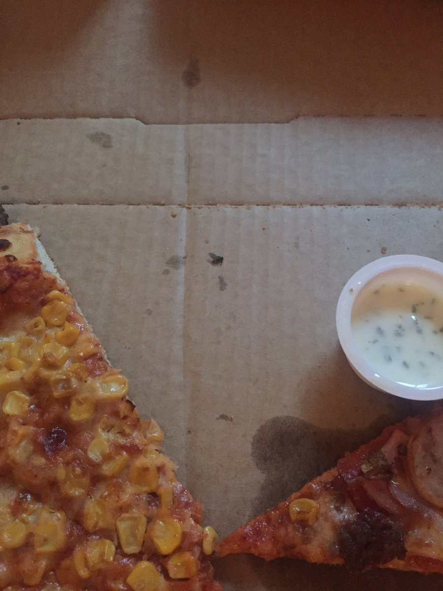 DannyDavies1's tweet photo. @dominos what the.....we just received a pizza to find a dead fly squashed under it!! #wtf https://t.co/xDnXrPHnBJ
