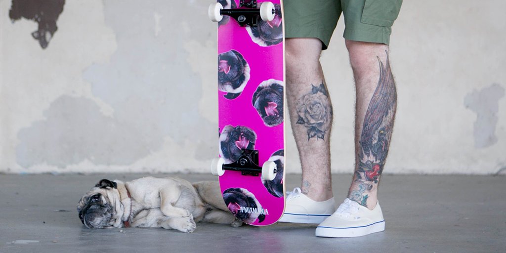 mixmaniacs's tweet photo. Your dog’s face belongs on a skateboard. Share their #MixMania for a chance to win. Rules: https://t.co/DtIO2CT5bE https://t.co/ne7mB4y2VN