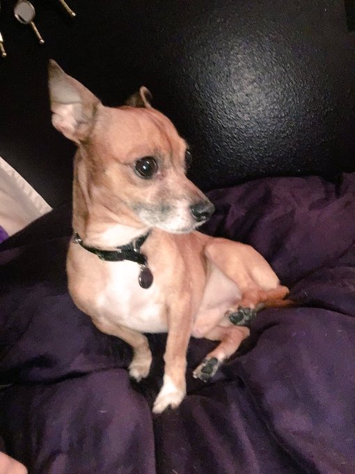 My shining star 🐺💫 https://t.co/RoKPJUMLLn<a href="/tag/abstract"class="tags"><span>#abstract</span></a><a href="/tag/naked"class="tags"><span>#naked</span></a>