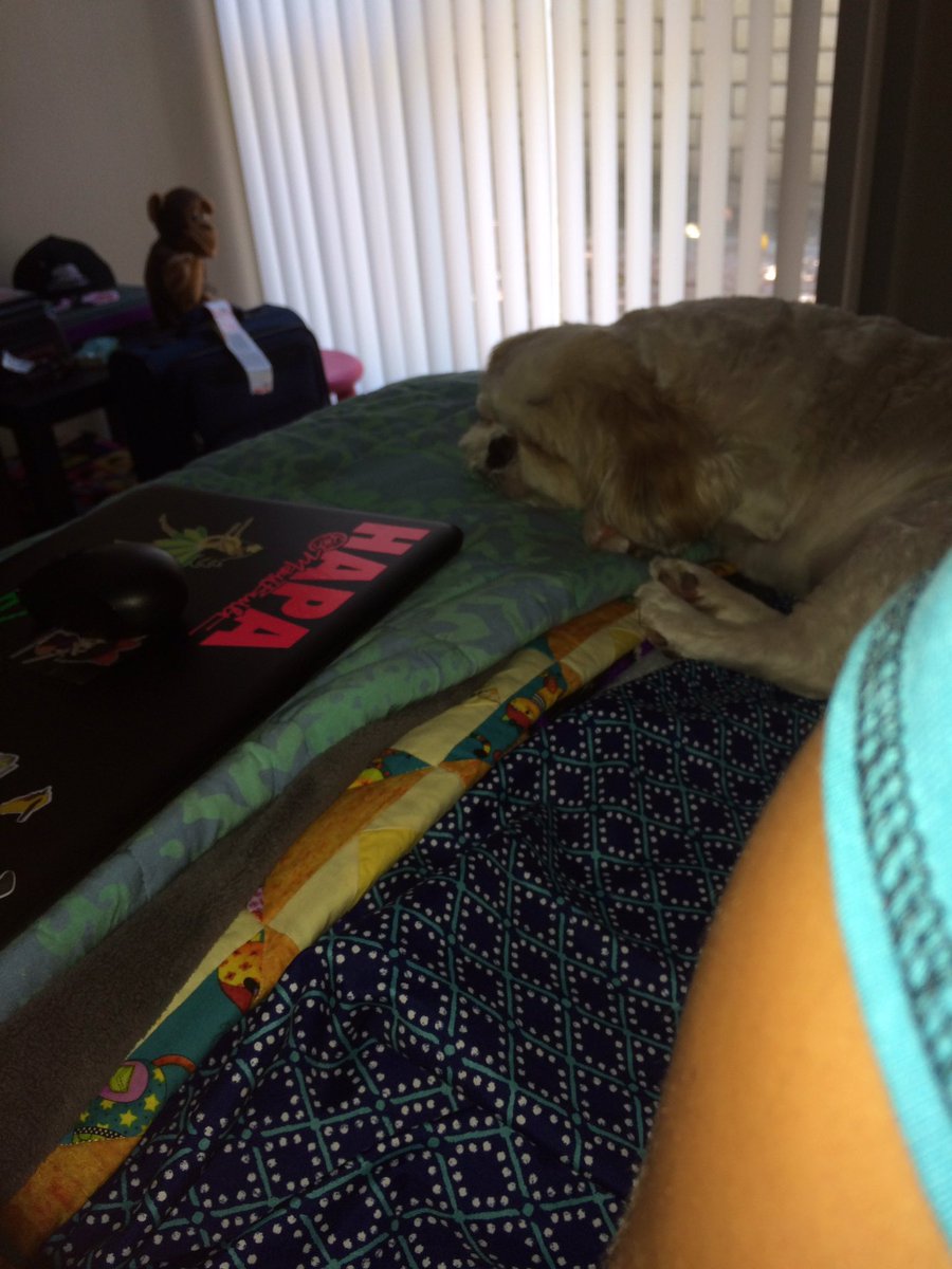 Francesca tweet media