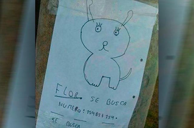 NoticiasCaracol's tweet photo. ¿Ha visto a esta perrita? Sus dueños esperan recuperarla con este retrato https://t.co/B6M5DG7guA https://t.co/h66mrfsi3c
