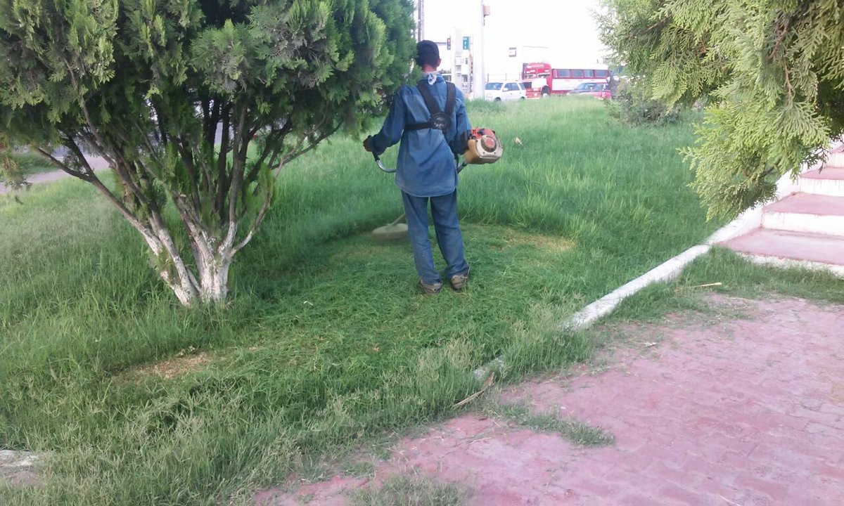 serviciosgomez's tweet photo. Desmalezado y limpieza en el Periférico Ejército Mexicano #GómezPalacio #TrabajandoConGanas https://t.co/gJWK7llvGM