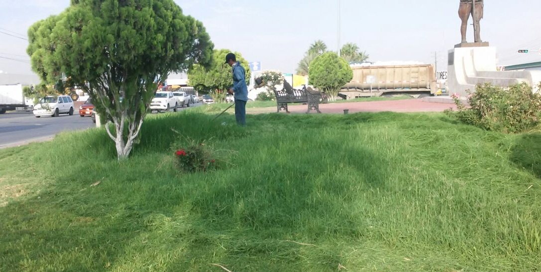 serviciosgomez's tweet photo. Desmalezado y limpieza en el Periférico Ejército Mexicano #GómezPalacio #TrabajandoConGanas https://t.co/gJWK7llvGM
