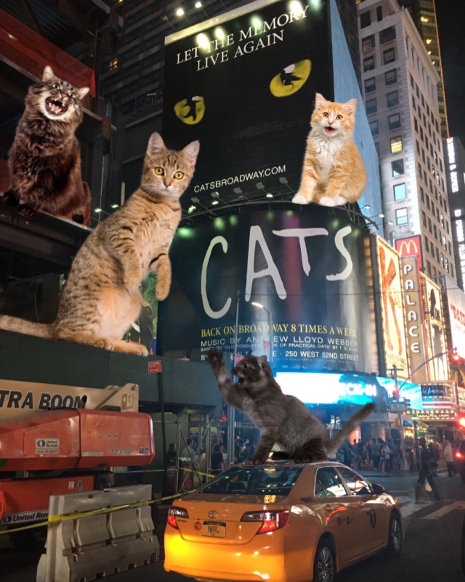 tour_cats's tweet photo. Tour Cats live on broadway! https://t.co/uBFMtUNiCx #tourcats #catsthemusical https://t.co/2pcFoE9R1x