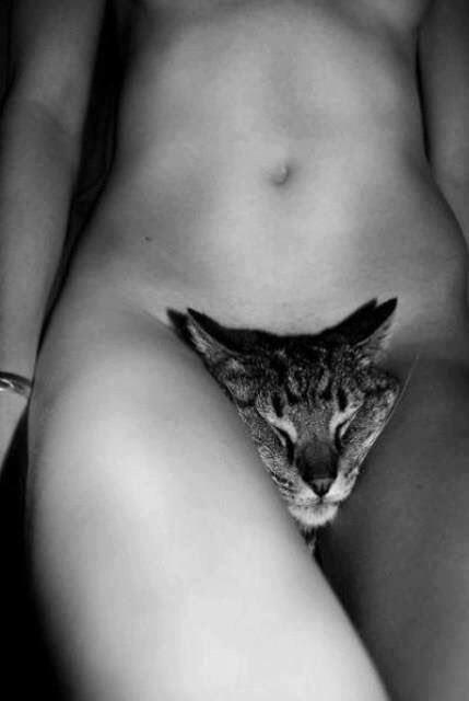 killing_kittens's tweet photo. One more sleep til its kitten play time ... Out you come kittens out you come 😻 https://t.co/l95wCuvLu6
