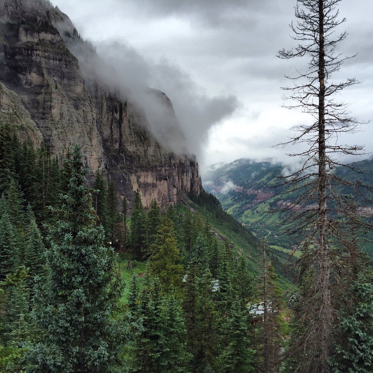 TellurideMountainRun tweet media
