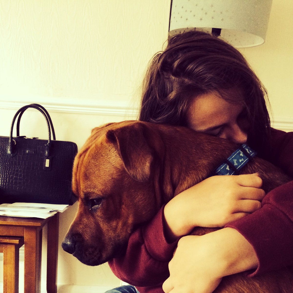 Bethlehem_93's tweet photo. If someone could buy me a dog that would be great. I miss cuddles on this level #imissmax https://t.co/chK6zOUhyx