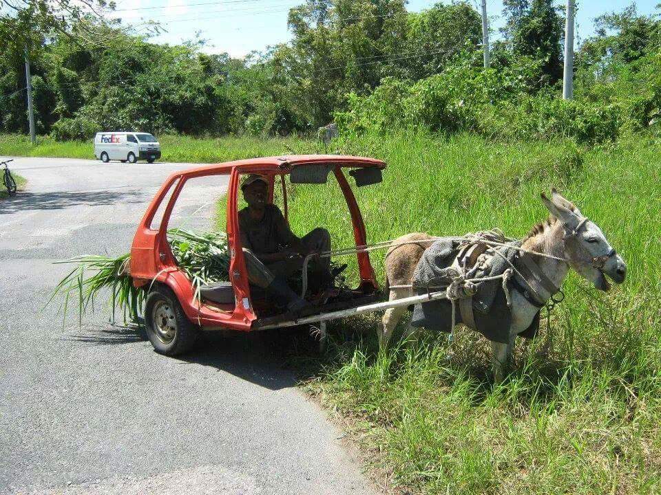 devonlallbehari's tweet image. Top ride