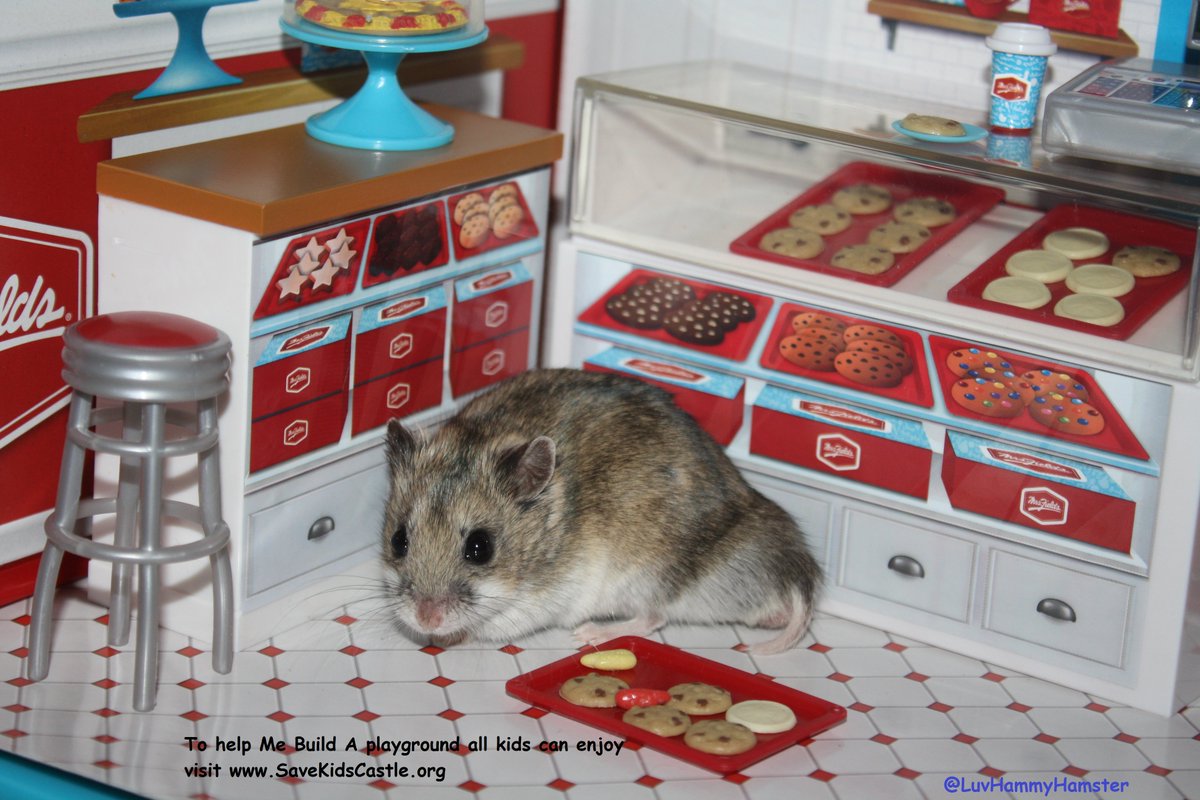 Hammy #ChocolateChipCookieDay! It'll be  sweet if u help spread the word to help <a href="/SaveKidsCastle/">SaveKidsCastle</a> #ShareSomeSoul <a href="/kia/">Kia America</a>