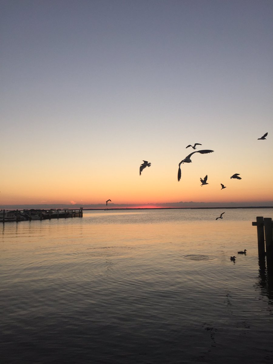 LBI Sunsets tweet media