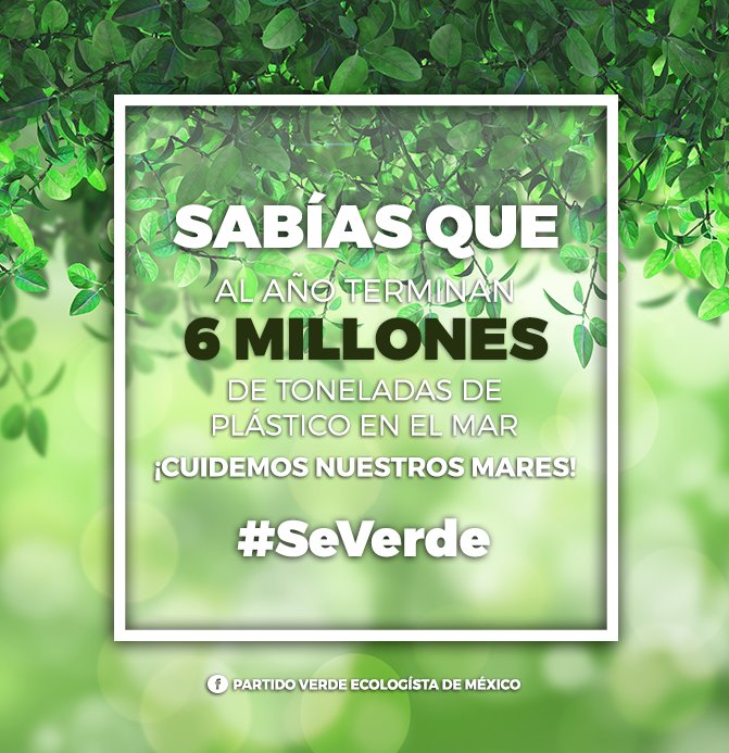 PVerdeQroo's tweet photo. Cada año terminan millones de toneladas de plástico en el mar.
#SeVerde y cuidemos de nuestros mares. https://t.co/XcFdJPzYbO
