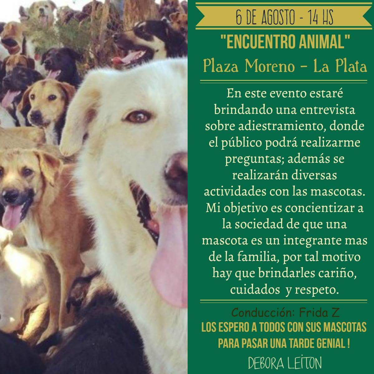 pursangdog's tweet photo. El sábado estaremos apoyando el evento mascotero con regalos @pets_celebrity @JulioGarro @fridazdj @rominaanabella https://t.co/LiFHcvahnu