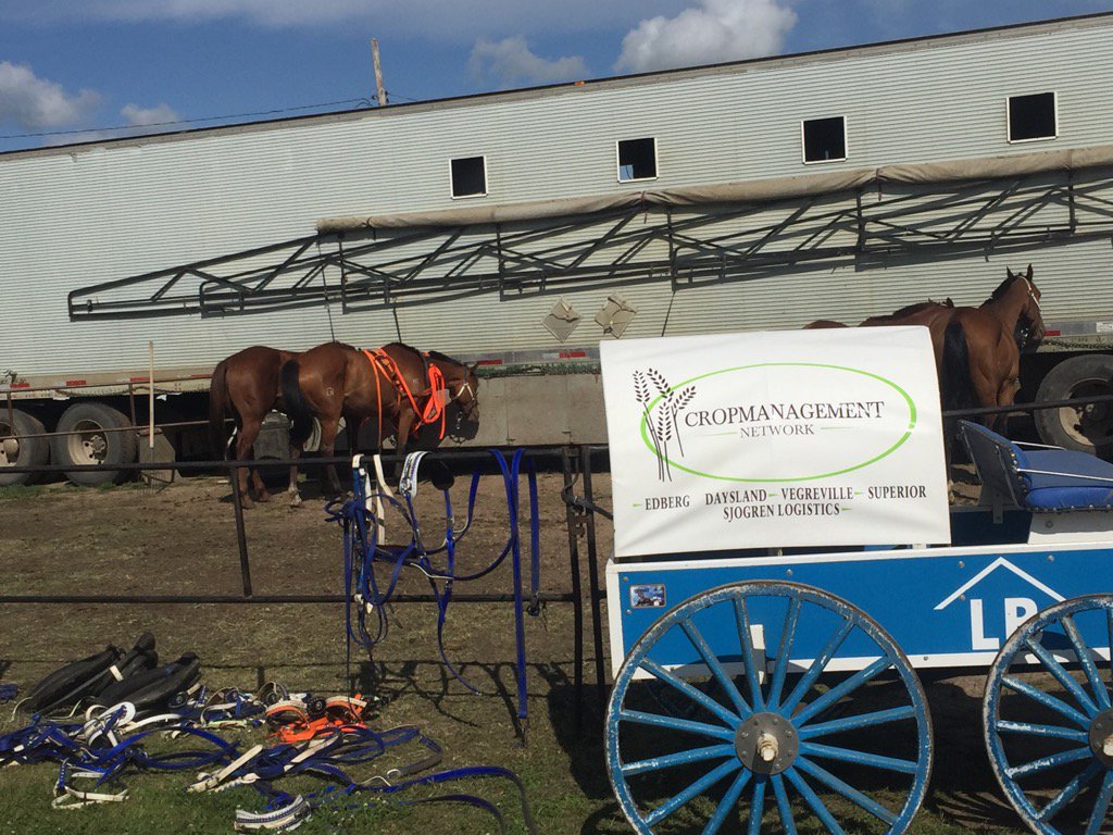 gsjogren's tweet photo. Harness going on at Vegriville @denverleach17 @vegrevillecrop https://t.co/eHKQlAAl9k