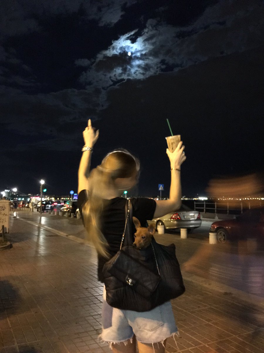 Lux_pets_'s tweet photo. @Lux_pets : never loose focus , let the world be spinning around you!!!
#NightTalk #moonlight #moon #quoteoftheday https://t.co/B7DoWCuIXt