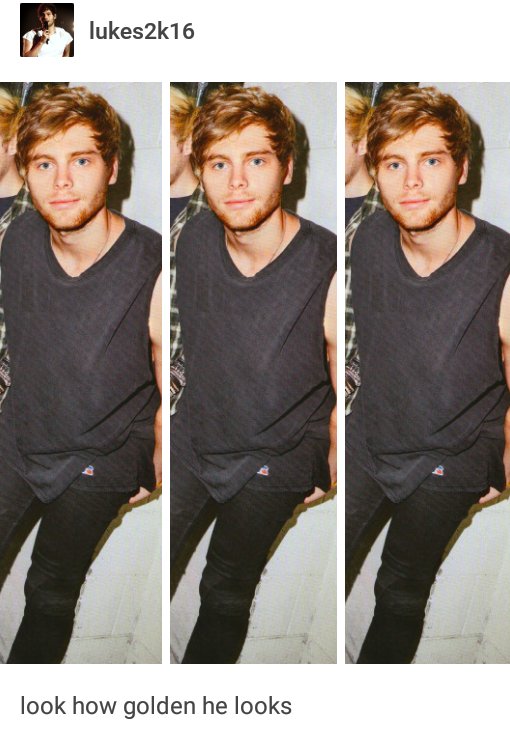 5SOSTumblrx's tweet photo. "I've got a boyfriend now and he's made of gold" https://t.co/fiGPHI0Hf3