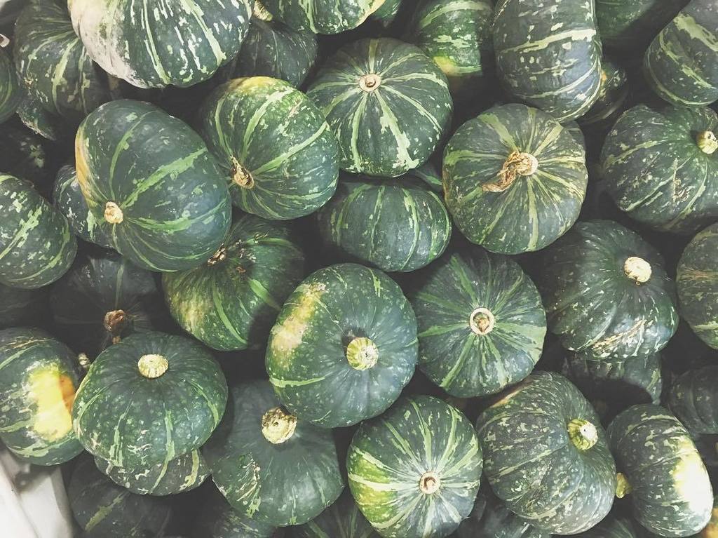 Heppell's Potato tweet media