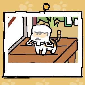 san305sama's tweet photo. #ねこあつめgfdcccfcdfd https://t.co/TCH3ChtI16