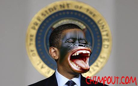 RichardStinchc2's tweet photo. @realDonaldTrump THIS IS WHAT WE HAVE NOW IN THE SO CALLED WHITE HOUSE !!!  PRESIDENT CHIMPANZEE , BARACK.  OBAMA ! https://t.co/UEGXsclz5n