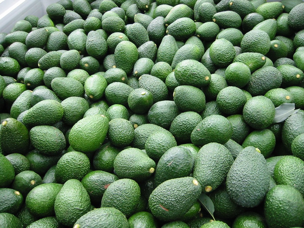 Aguacate para estreñimiento