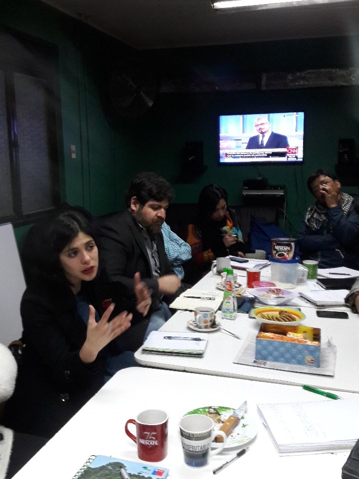 elena salazar tweet media