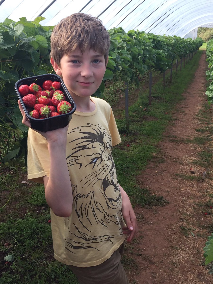 SueWhatmore's tweet photo. @belhavenstore We made gorgeous strawberry jam and gooseberry crumble from your delicious fruit. https://t.co/GaoY6IFiEa