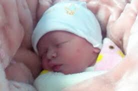 ورد البنفسج ♪♪ tweet media