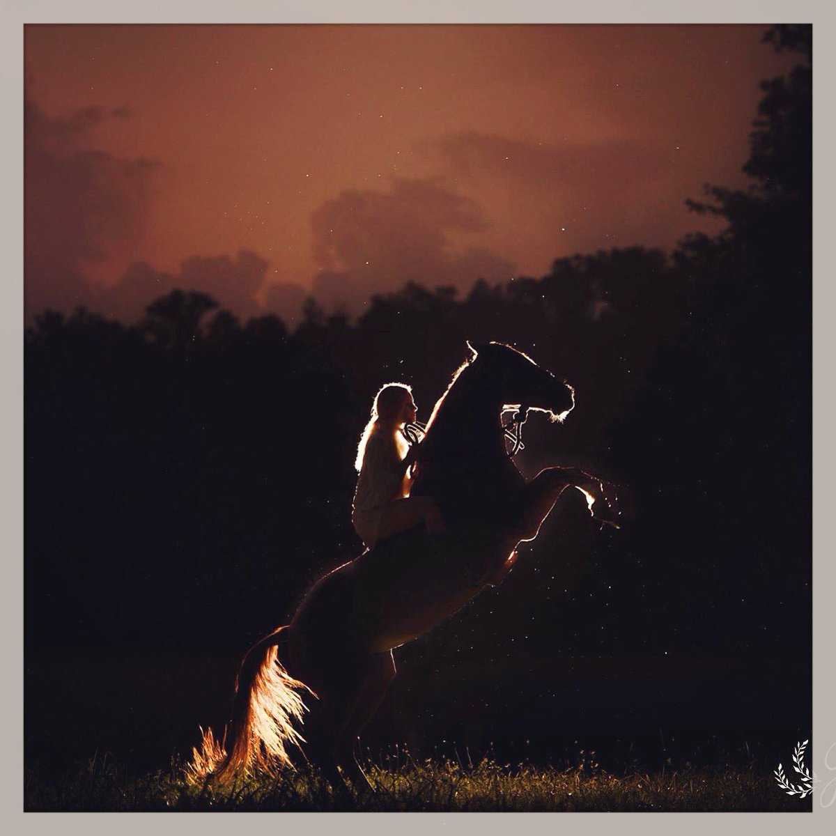 3LauraAshley's tweet photo. I absolutely love my horsey Lil' Bit and I love what Jessica Yates can do with a camera! Love this shot 🙌🏽🙌🏽🙌🏽👏🏼����🏼👏🏼 https://t.co/ovIc8SS0gR
