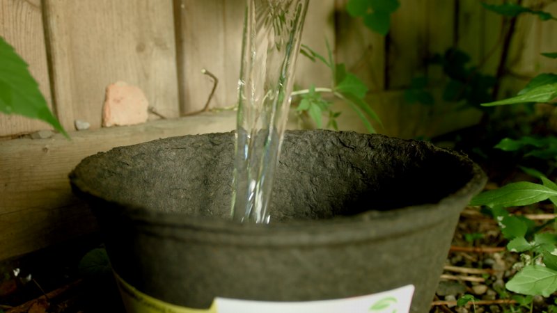 biotraps's tweet photo. Enjoy the outdoors while staying protected from #mosquitoes with #biotraps https://t.co/p3thGUmnOQ