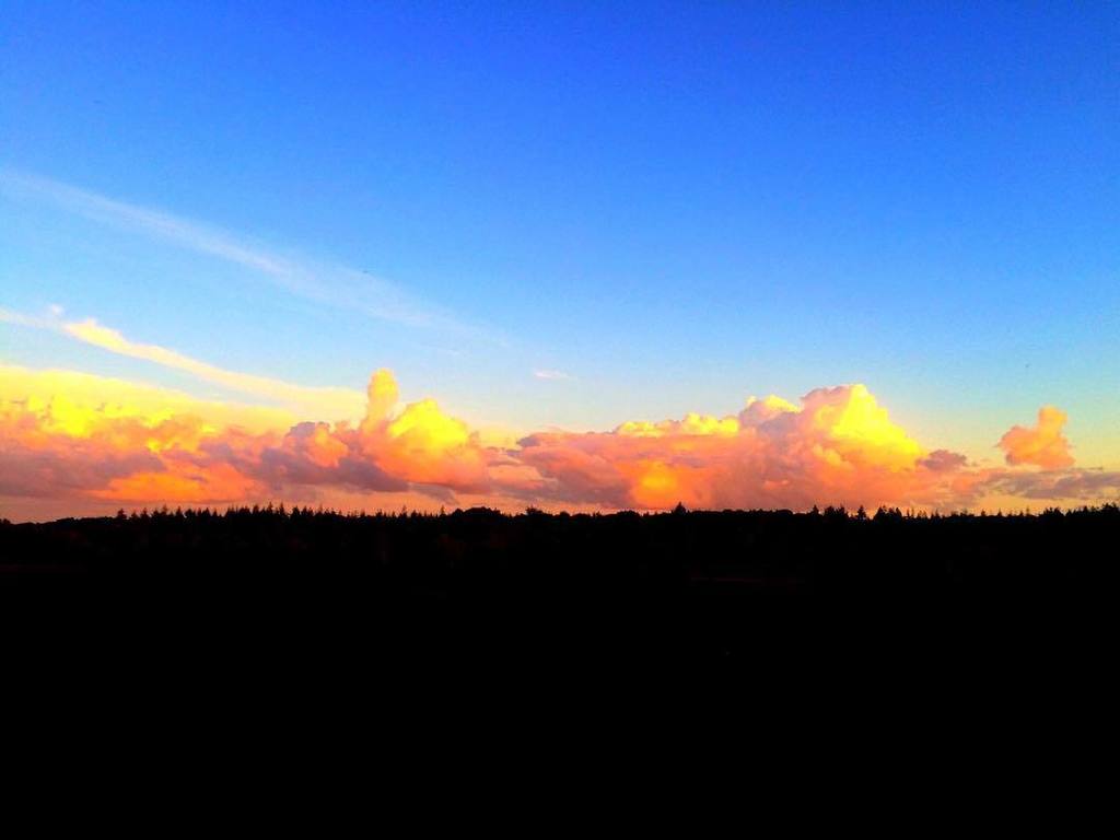 Andys_Instagram's tweet photo. Sunset over Wilverley Enclosure in the New Forest
#wiverley #setthorns #enclosure #NewForest #Hampshire #sunset #B⦠https://t.co/Fpp47AdTTy