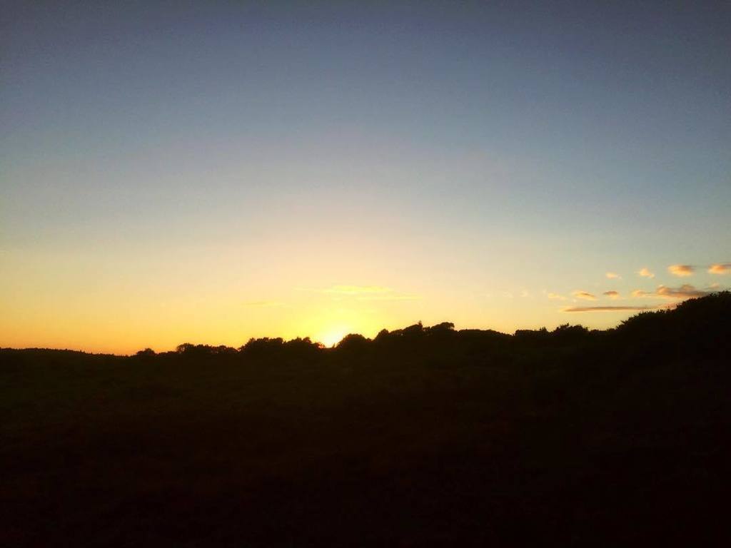 Andys_Instagram's tweet photo. Sunset over Wilverley Enclosure in the New Forest
#wiverley #setthorns #enclosure #NewForest #Hampshire #sunset #B⦠https://t.co/yeYS2kQPpK