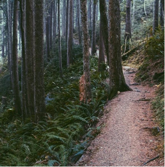 Retweet if you live or wish you lived near a hiking trail! SummaHomeSearch.com