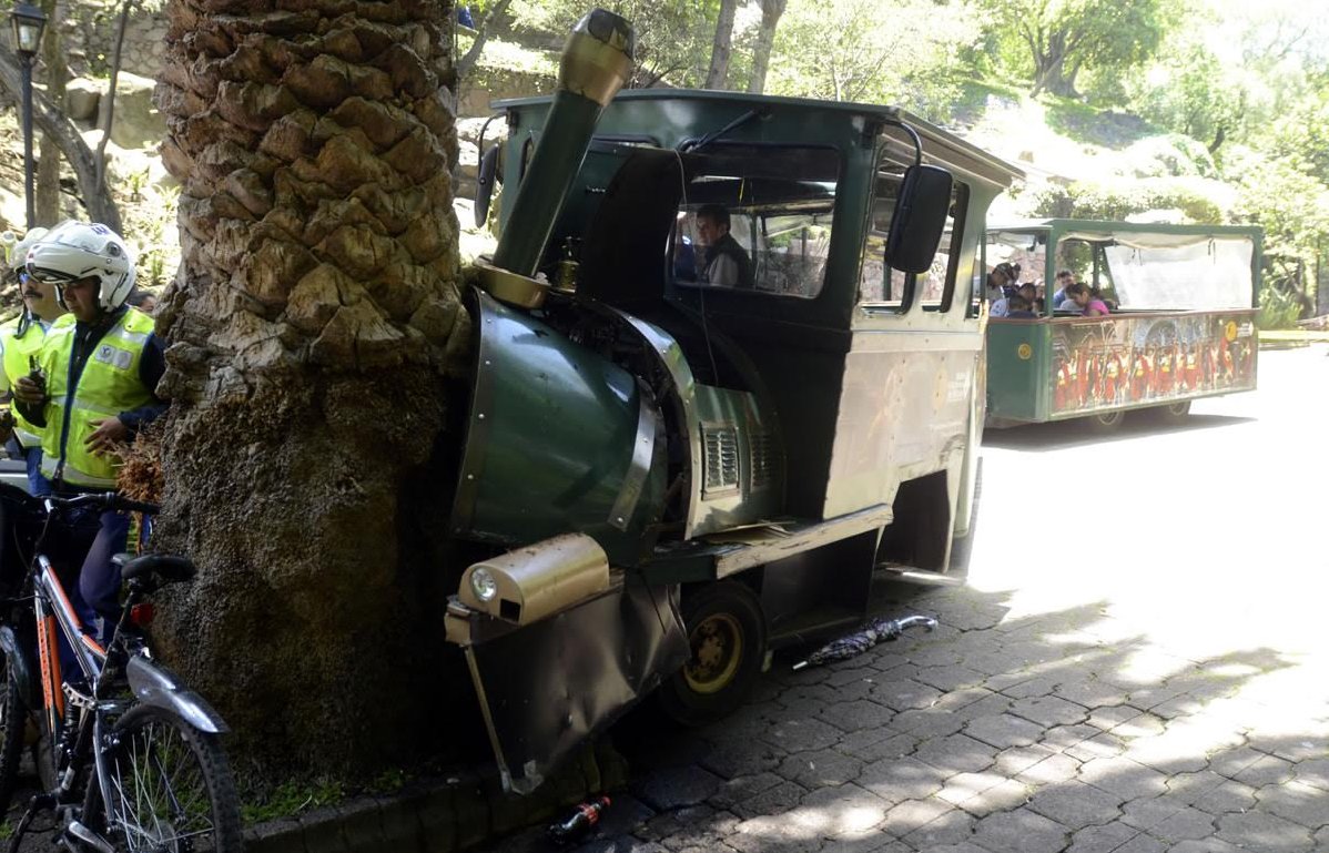 ExpEconomia's tweet photo. El trenecito de Chapultepec choca contra una palmera. Hay al menos 14 lesionados, entre ellos niños y adultos. https://t.co/SL4cjevLaR