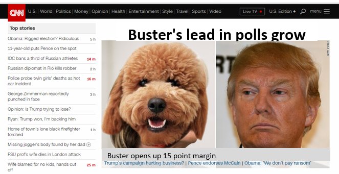 Chewy_Lulu's tweet photo. Great news in latest polls for @doodle_buster! #Buster2016 #dogsoftwitter https://t.co/1Bl2lpiVxy
