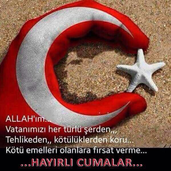 baha altınkaya (@bahaaltnkaya) on Twitter photo 