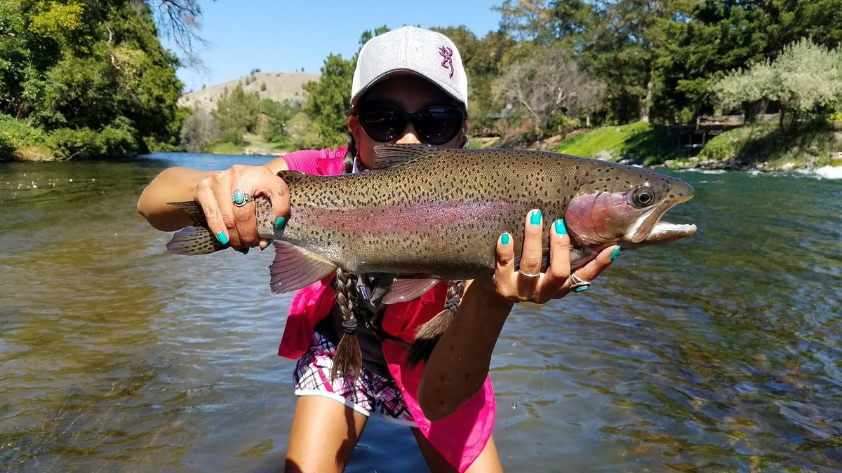 DeschutesGuides's tweet photo. #Nativeredside #AllCatchandRelease #haresear #stcroix #wetwading #westbank #lowerdeschutesriver #littleleafguides https://t.co/d05tynHFiN