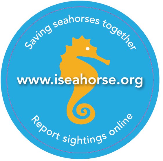 projectseahorse's tweet photo. Going #diving? 
See a #seahorse?

Please log it #citsci https://t.co/7RVy8Ssqej  and help us save #seahorses https://t.co/hk6HID2LmP